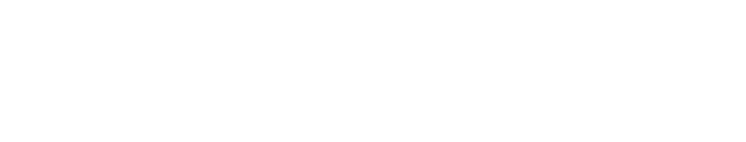 Performiex Logo